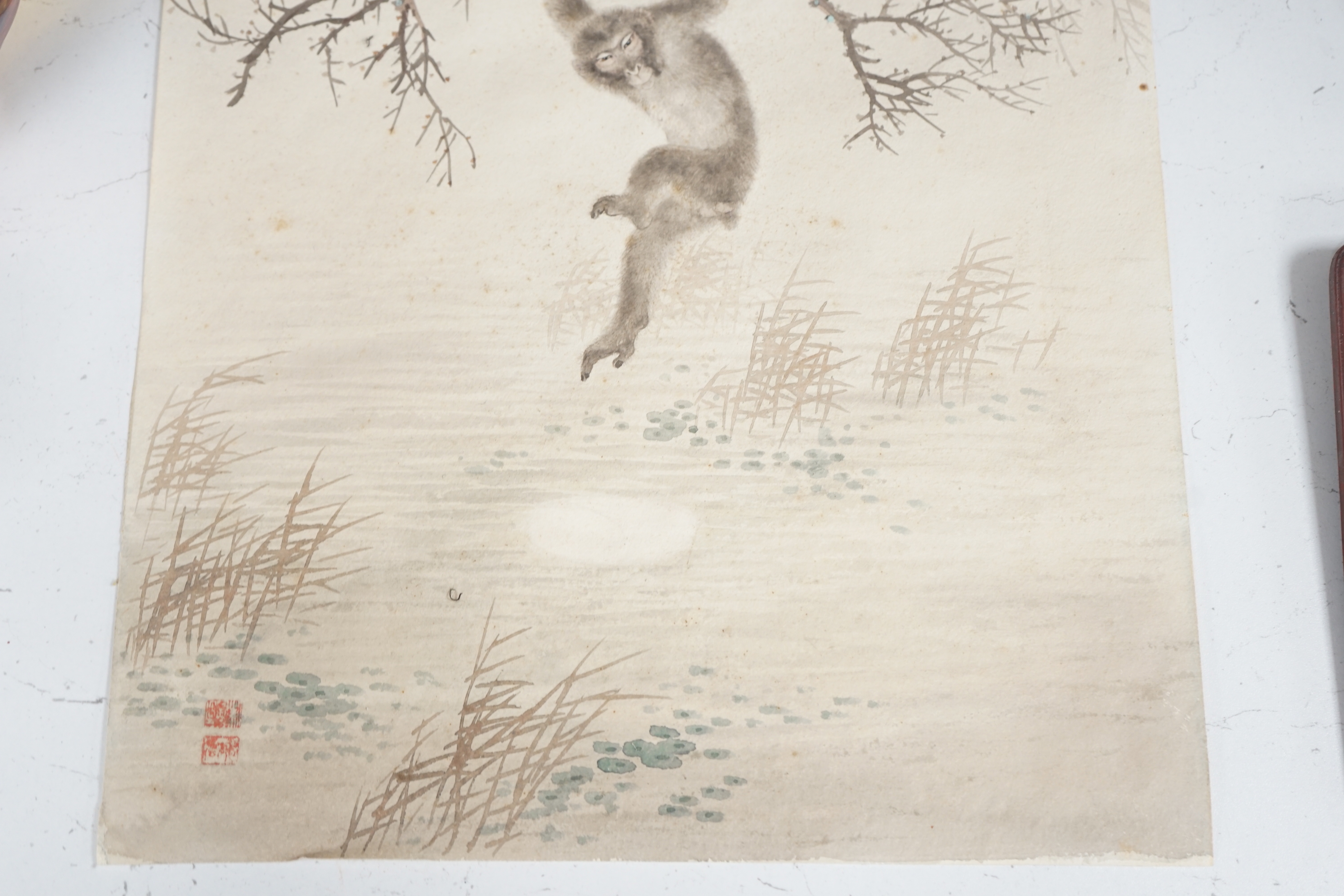 Chinese School, watercolour on card, Monkeys on a branch, with red seal marks, 50 x 32cm, unframed